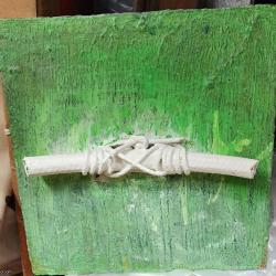 Lil Pea - Sugar Snap 2002 Art