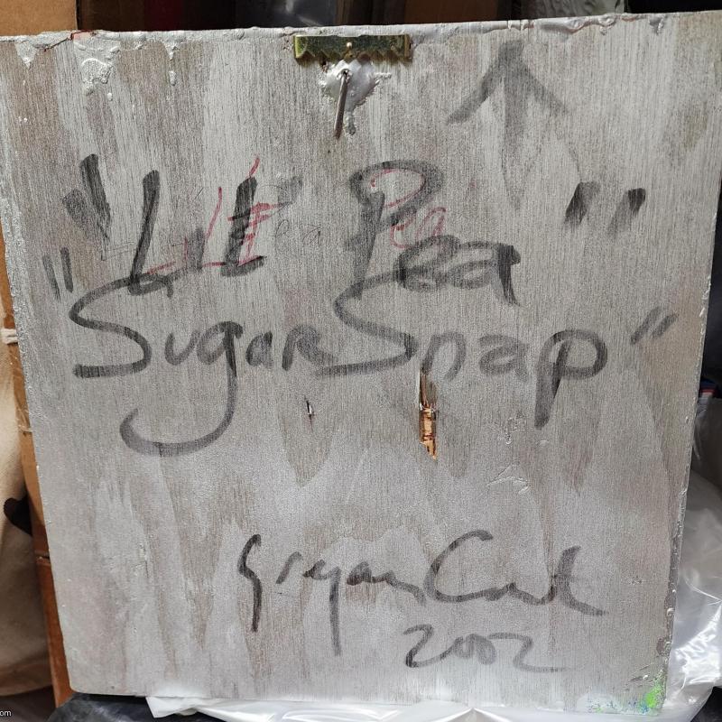 Lil Pea - Sugar Snap 2002 Art