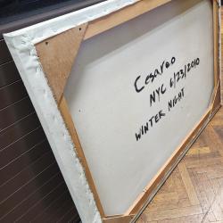 Cesareo NYC 6/23/2010 Winter Night